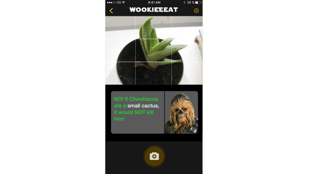 Illustration for article titled ‘Star Wars’ Fans Rejoice! This New App Lets You Take Pictures Of Objects In Your Home And Tells You If Chewbacca Would Die If He Ate Them
